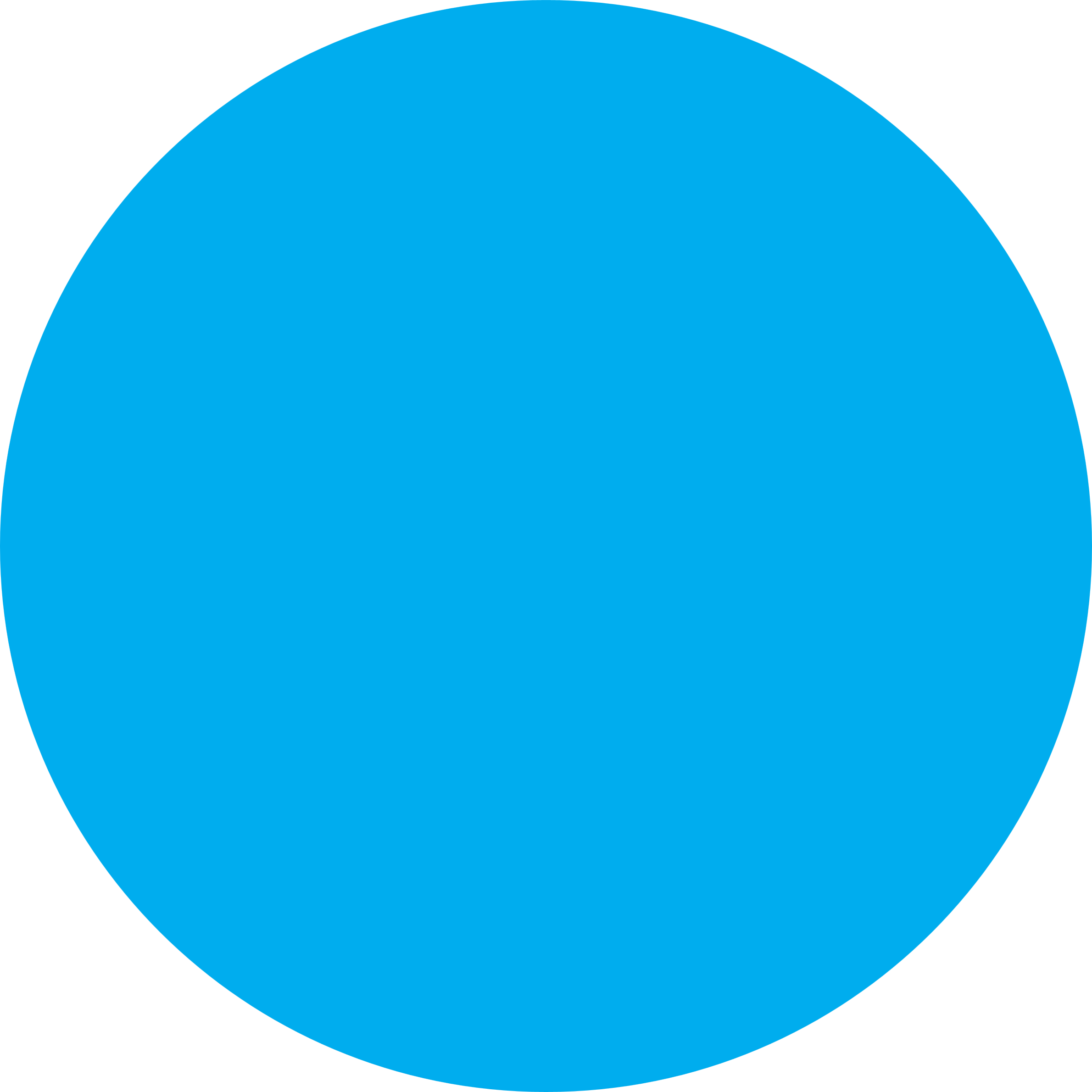 pin-on-report-template