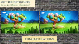Spot The Differences