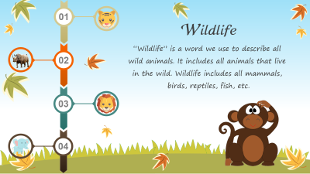Wildlife