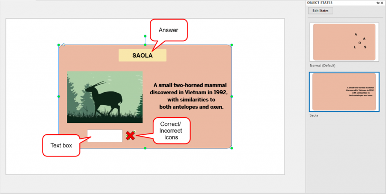 Advanced interactive flashcard