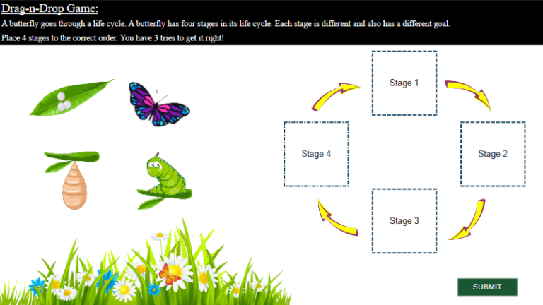 A Drag-n-Drop Question Example