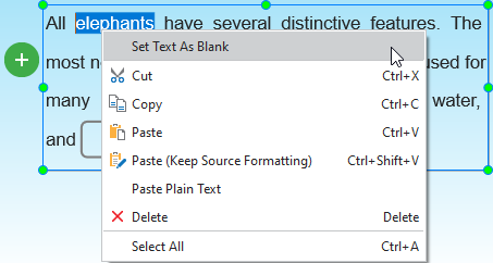 Convert Text into Blank