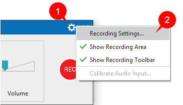 Record Video Project dialog