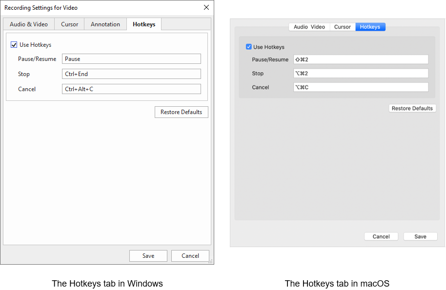 Because of the differences between macOS and Windows keyboards, you need to use different hotkeys for performing commands.