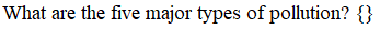 Essay