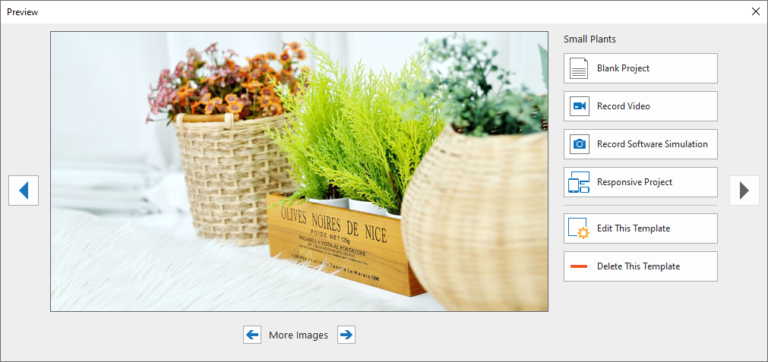 Preview custom theme