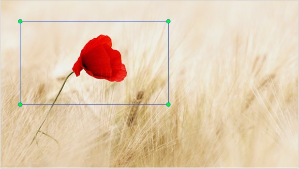 Zoom-n-pan with ActivePresenter