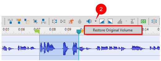 Restore Original Volume