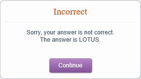 Incorrect feedback.