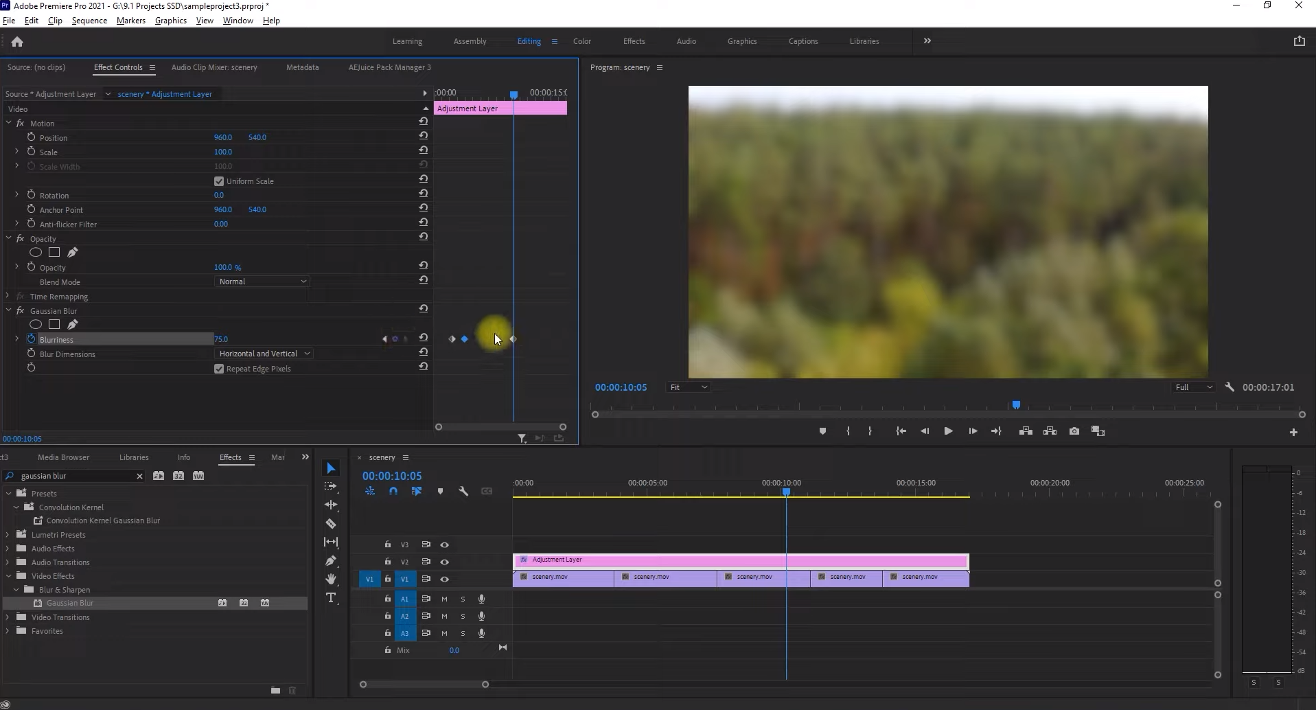 adobe blur tool