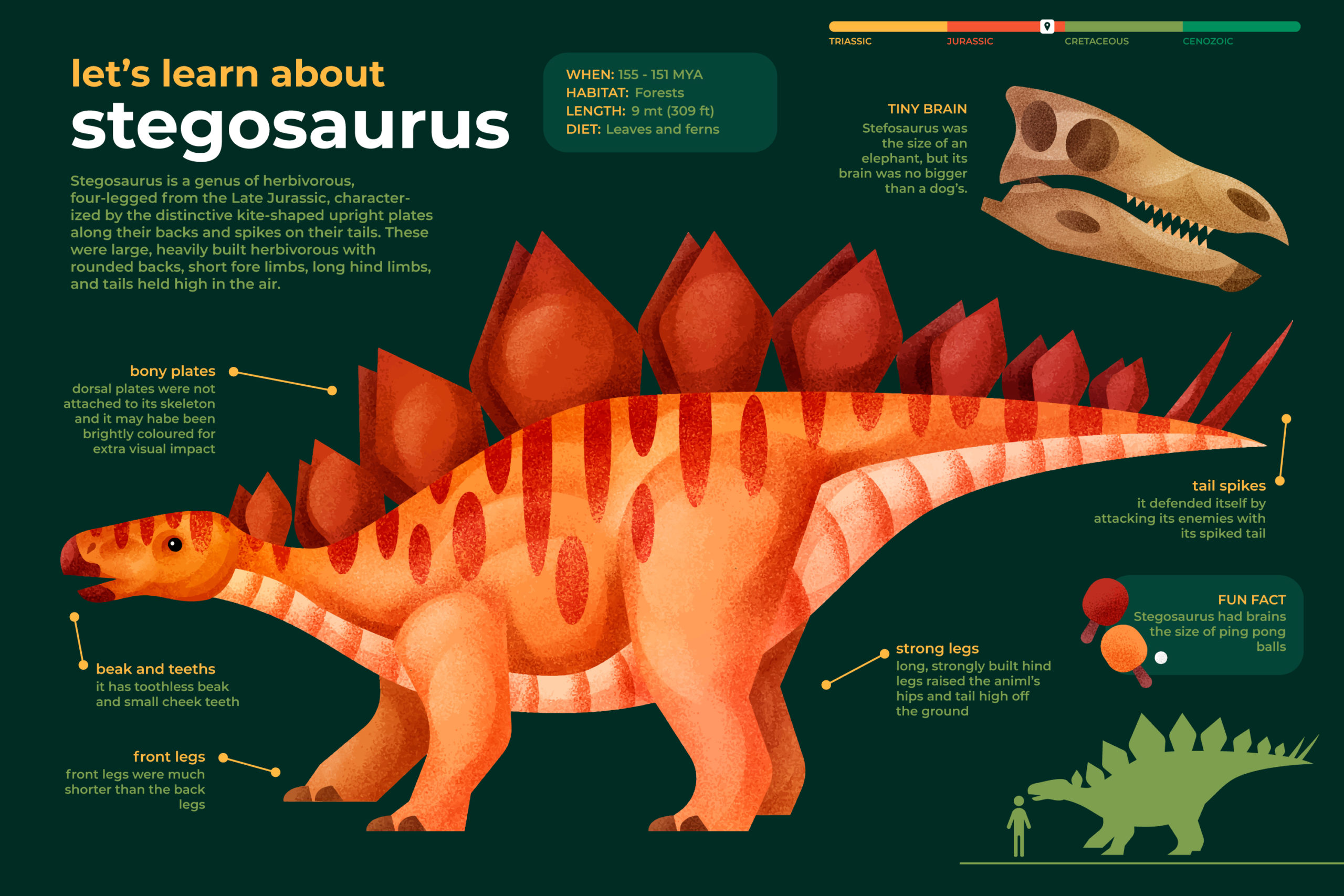 dinosaur body parts