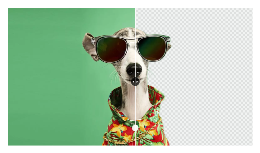 foco online photo background remover
