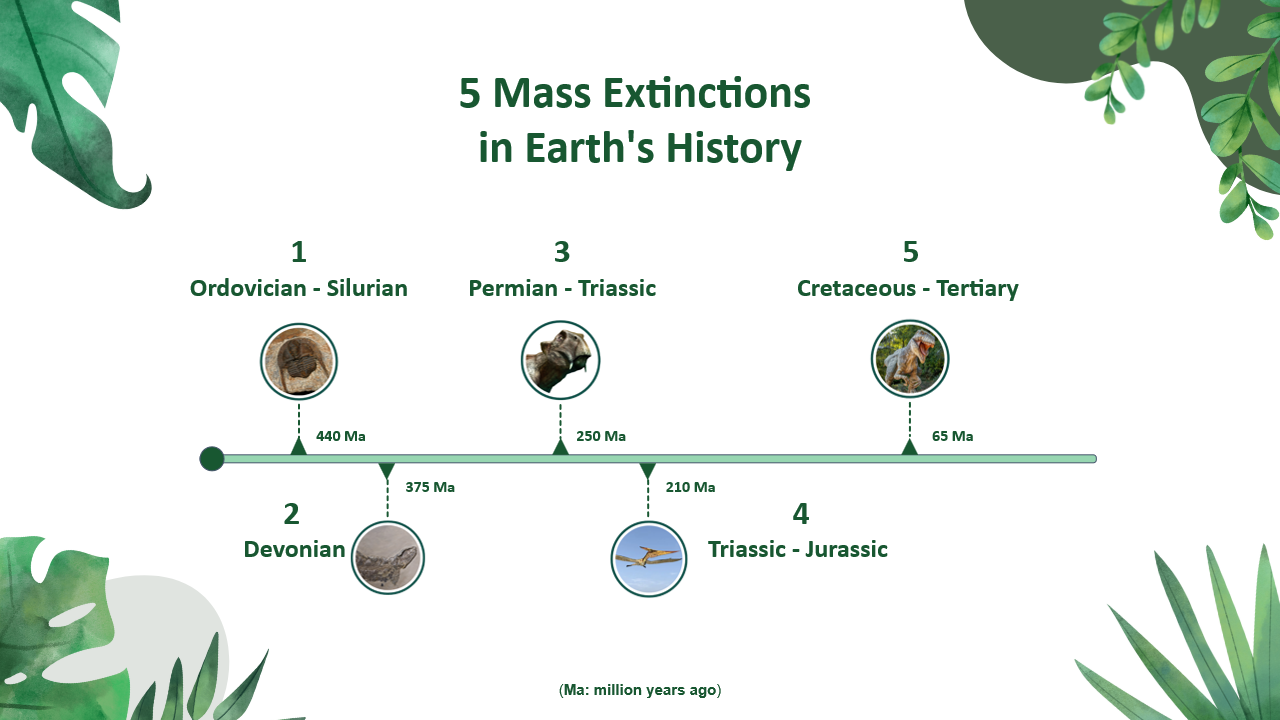 An example of a timeline slider