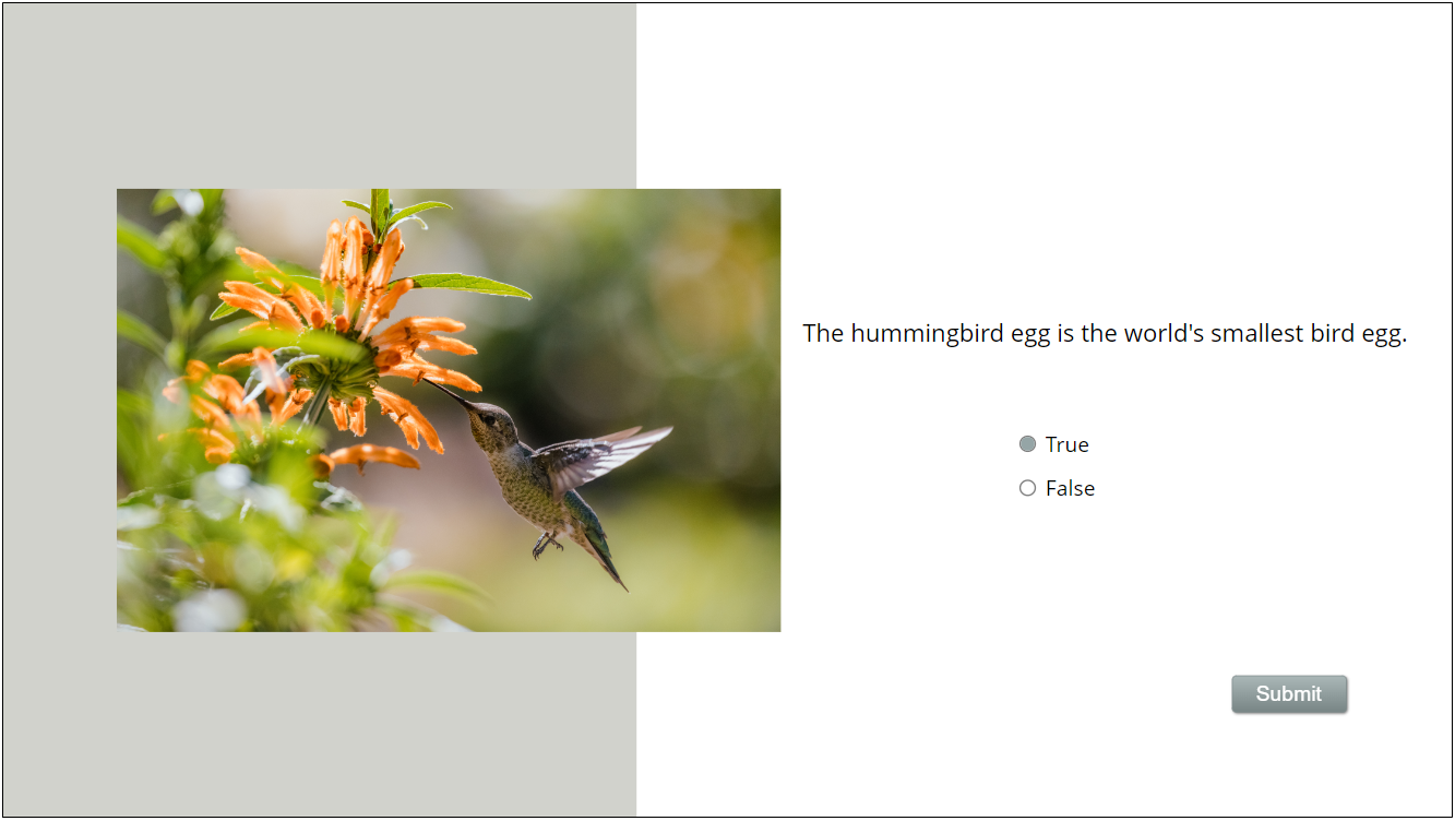a true or false quiz