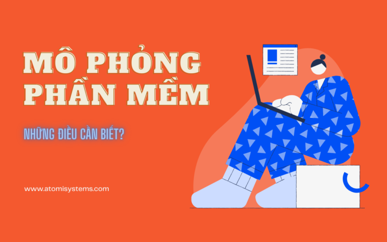 mô phỏng phần mềm