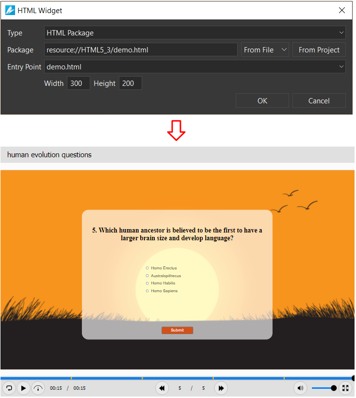 embed HTML widget