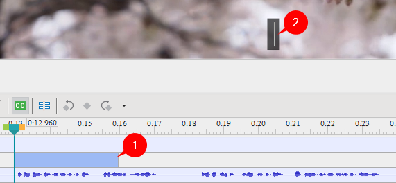 Add the first subtitles by adding closed captions