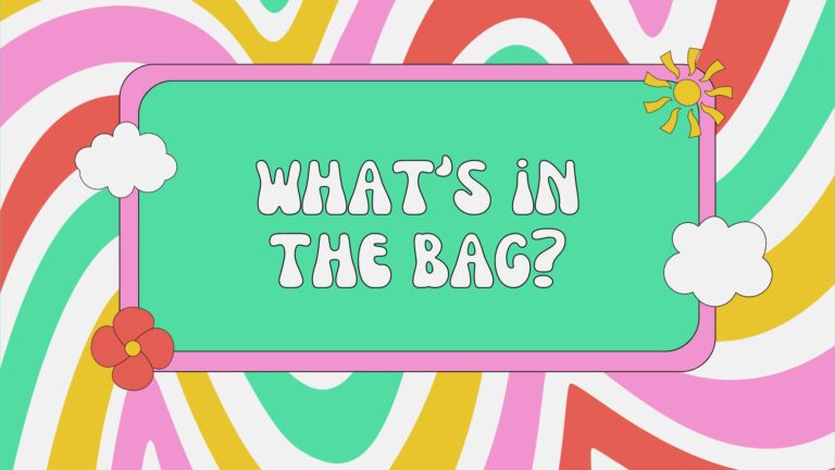 what-in-the-bag-game