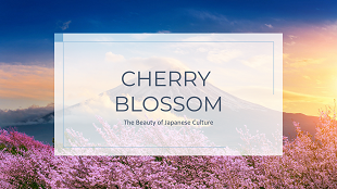 Cherry Blossom 2