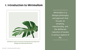 Minimalism