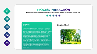 Process interaction step